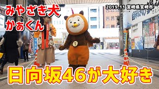 【みやざき犬】日向坂46大好きな かぁくん。ダンスでアピール：ドレミソラシド (201911宮崎県宮崎市)