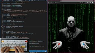 ASMR Programming - The Matix Effect - No Talking
