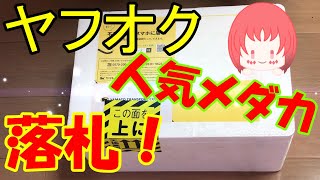 【ヤフオク】あの人気メダカをヤフオクで落札？！【メダカ飼育#31】