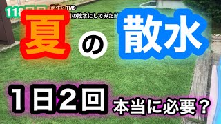 【芝生壊滅・TM9】118日目　１日２回の散水にしてみた結果…、良いかも！