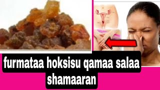 Furmataa qamaa salaa shamaran hokisisuu fi foli badda qabuu