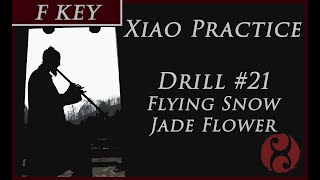 Drill #21: Flying Snow Jade Flower (飞雪玉花) - Xiao Practice Series (F Key)