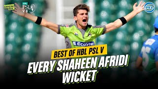 Every Shaheen Afridi Wicket - Best of HBL PSL V - PEL