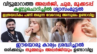 വിട്ടുമാറാത്ത അലര്ജി കണ്ണുചൊറിച്ചിൽ ശ്വാസം മുട്ടൽ | ഈ ഒരു കാര്യം ചെയ്താൽ അലര്ജി പ്രശനം പമ്പ കടക്കും