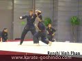 karate goshindo shihan vinh and renshi karine phan