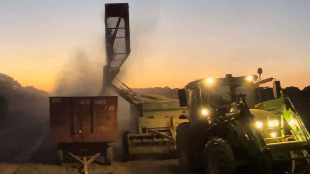 Picking Peanuts Youtube