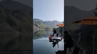 Amazing fishing | Catching Catfish & Giant Snakehead | Skills Fishing Exciting #Shorts | Ep 551