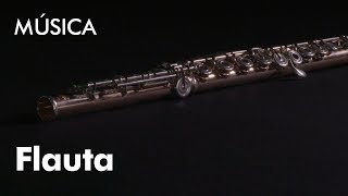 Conhecer um Instrumento: A Flauta