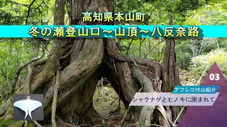 白髪山(冬の瀬登山口～山頂～八反奈路)(高知県本山町)