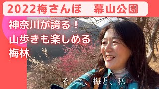 湯河原梅林♪幕山公園　2022神奈川県湯河原町の梅さんぽ「梅の宴」カロリーナの山歩きと梅鑑賞レポート【花好きカロリーナのお花見Vlog】