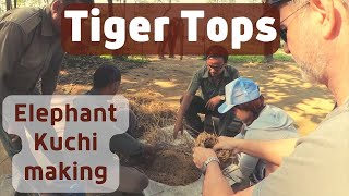 Tiger Tops Tharu Lodge | Feeding Elephants Kuchi | Nepal