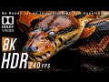 Mind-Blowing Detail: 8K HDR 240 FPS Dolby Vision™ [Dolby Atmos]