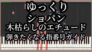 Chopin Etude Op.25-11 Slow Piano Tutorial  Fingering