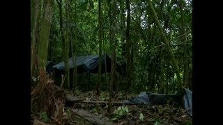 Más de 15 muertos en enfrentamientos entre disidencias de las FARC en Putumayo