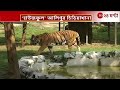 alipore zoo শীতের মরশুমে হাউসফুল আলিপুর চিড়িয়াখানা zee 24 ghanta