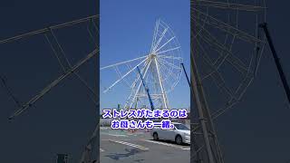 【原発事故が起こるとこうなる】2011/06/03　子ども達は外で遊べないストレスで、兄弟げんかが増えたり、家の中を走り回ったりしています。