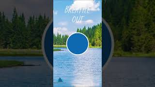 478 Breathing Exercise | Mindful Minute | Breathing Exercises | Relaxation | Lake Sounds #shorts