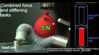 A bioinspired soft manipulator for minimally invasive surgery