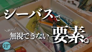 【必見】コレをおさえれば釣れる確率が上がる！【シーバス】