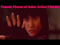 The  female  Vixens of Asian Action Cinema music video tribute