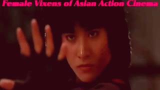 The  female  Vixens of Asian Action Cinema music video tribute