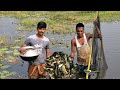 আজ জামাই শশুর মিলে কত গুলো মাছ  মারলো । Our Simple Village Life Style Vlog | Village Vloger |