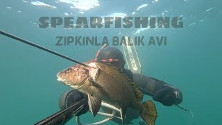 Life in Every Breath - Spearfishing