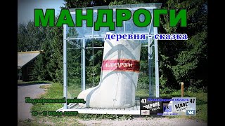 В.Мандроги, Подпорожский р-он, 10-11.07.21г.