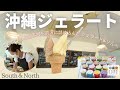 【沖縄LIFE】こだわりの厳選素材を贅沢に詰め込んだジェラート&ソルベ l Okinawa Gelato South&North