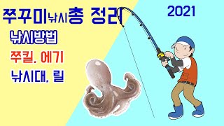 쭈꾸미 낚시2021 낚시방법,쭈킬,채비,낚시대,릴 총 정리 합니다(입문자,초보자 필수영상)