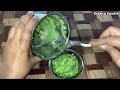 हरे मटर की दाल रेसिपी hare matar ki dal recipe green peas dal recipe hare matar dal recipe