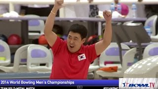 2014 World Men's Championships - Team Medal Round