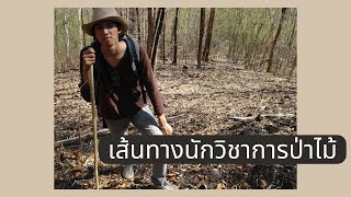 faowland forester EP.16 : เส้นทางนักวิชาการป่าไม้ (ตอนที่ 1)