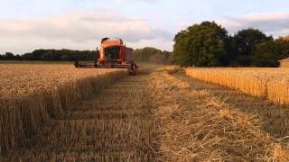 Moisson du blé 2015 | Massey Ferguson 7270 | Bretagne [HD]