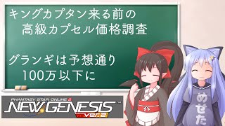 【PSO2NGS】キングカプタン前お値段チェック　緩和されたグランギは100万以下に【えりにゃんちゃんねる】