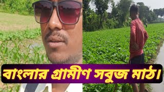 বাংলার গ্রামীণ সৌন্দর্য দেখলাম। Rural Green Beauty of Bangla। Indadul Vlogs।