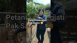 Pak Saelon Desa Deras Kedungjati #petani #pertanian #grobogan #vlog #jateng  #petaniorganik #viral