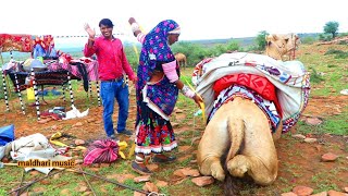 ऊंट पर डेरा का सामान (भार )केसे डालते हैं camel Rajasthan shetan devasi Ashu dewasi maldhari music