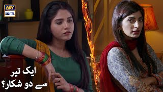 Aik Teer Se Do Shikar - Amna Malik & Mariam Ansari - Best Scene - ARY Digital Drama