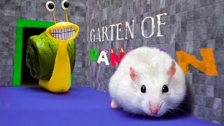 All New Monster Challenges - Hamster Adventure In Garten Of Banban, Rainbow Frie