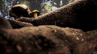 Hot Docs 2018 Trailers: TREE
