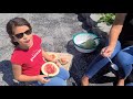 khmer homegrown garden in maryland harvesting watermelons september organic garden harvest