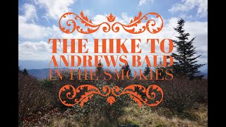 Travel Tales: Hike to Andrews Bald - Smoky Mountains