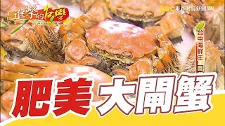 台中海鮮王 膏滿肉肥大閘蟹  第294集《進擊的台灣》part1