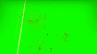 CS:GO Green Screen - Negev Shooting Damage