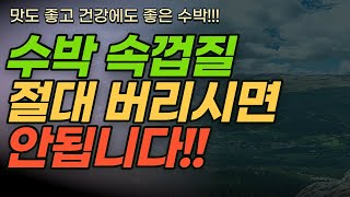 [실버놀이터] 여름에 매일 먹는 수박!! 여름철 별미 과일에 이런비밀이??!!! 꼭 공유하세요!!