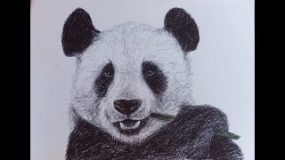 Drawing Time Lapse - Panda