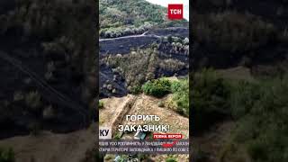 Масштабна пожежа на заказнику на Полтавщині!