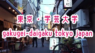 TOKYO WALK 東京・学芸大学の街並み gakugei-daigaku tokyo japan 2019.06