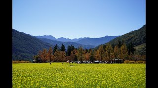 2019秋之旅~武陵農場